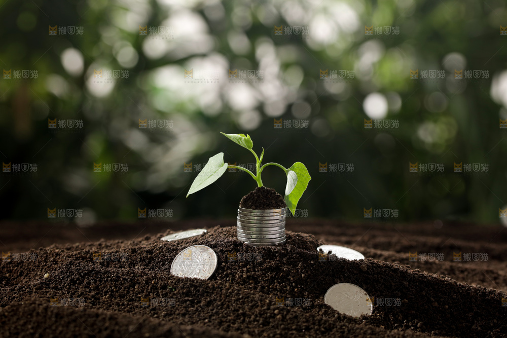 理财金融生长
