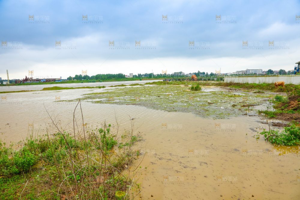 洪水