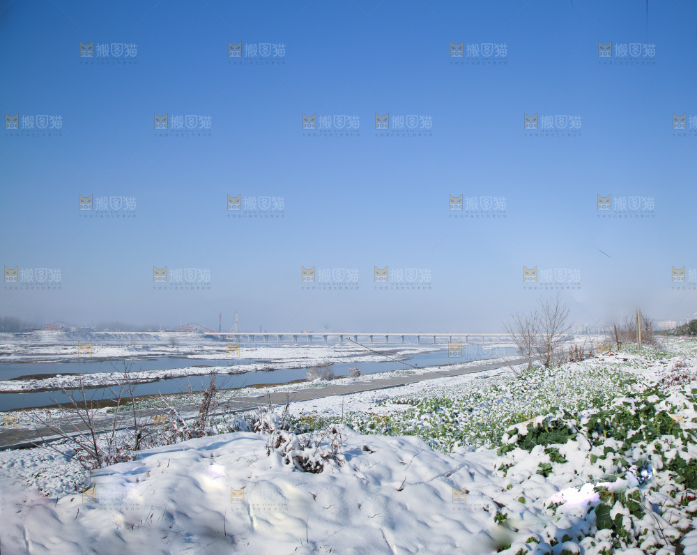 雪景