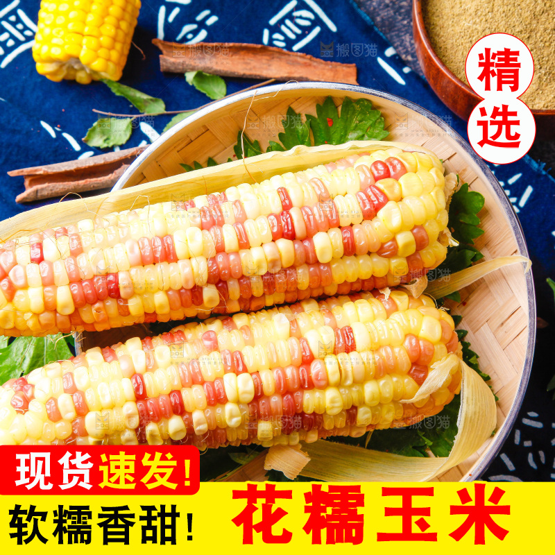 花糯玉米