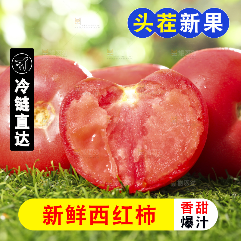 西红柿