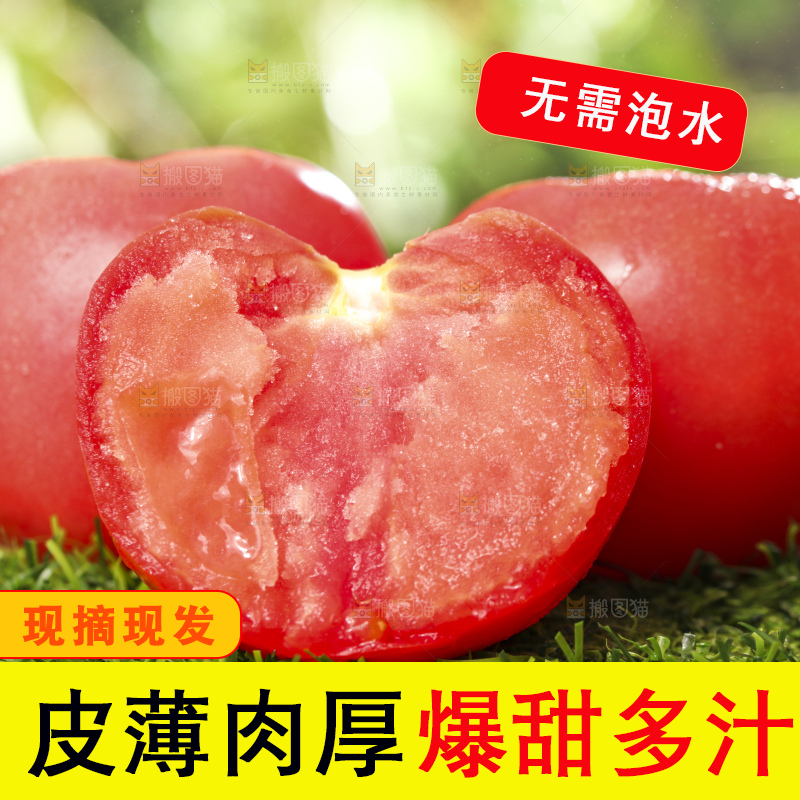 西红柿
