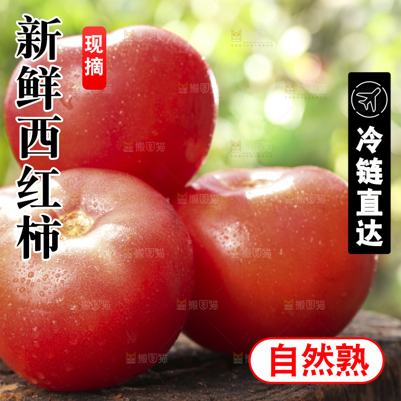 西红柿