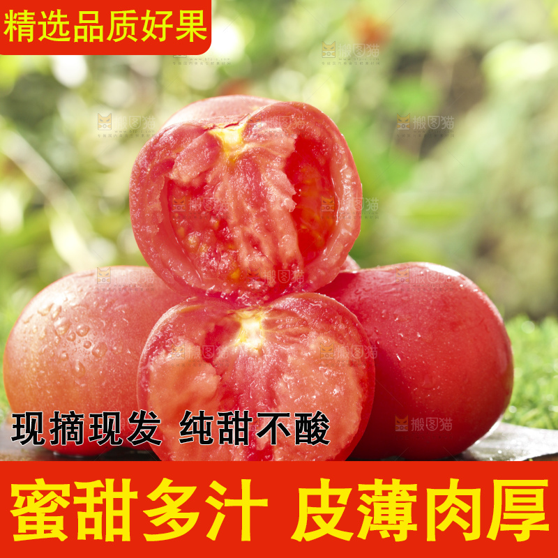 西红柿