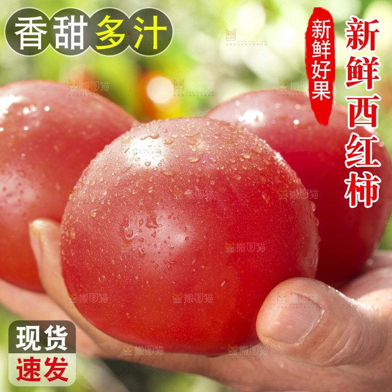 西红柿