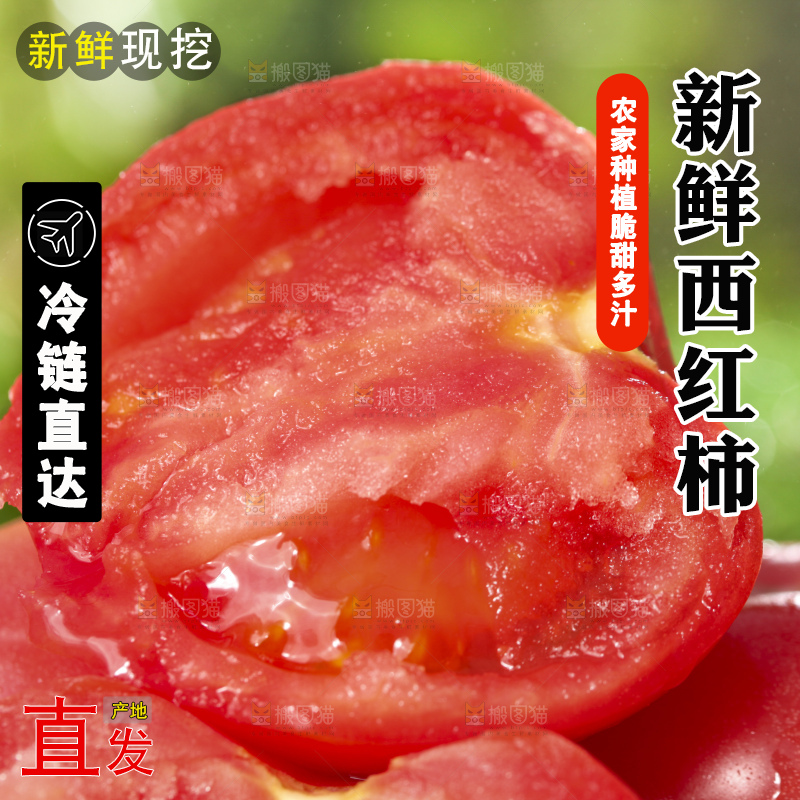 西红柿