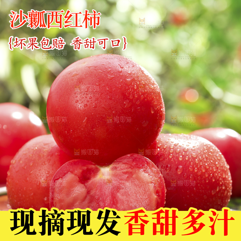 西红柿