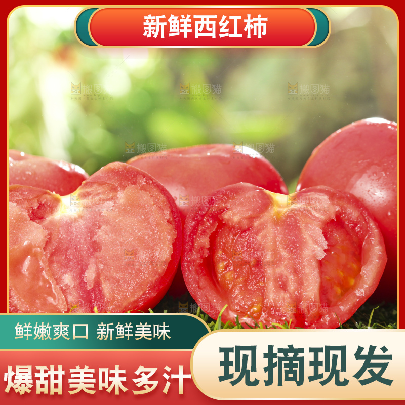 西红柿