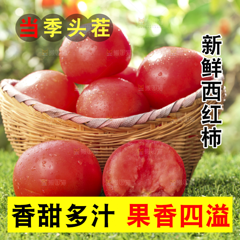 西红柿