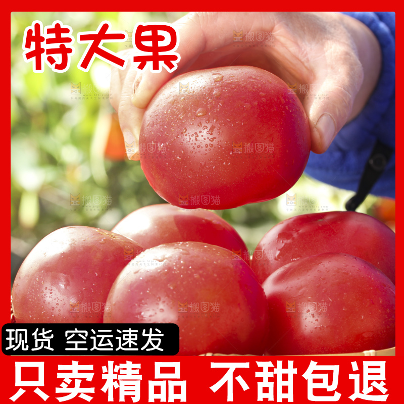 西红柿