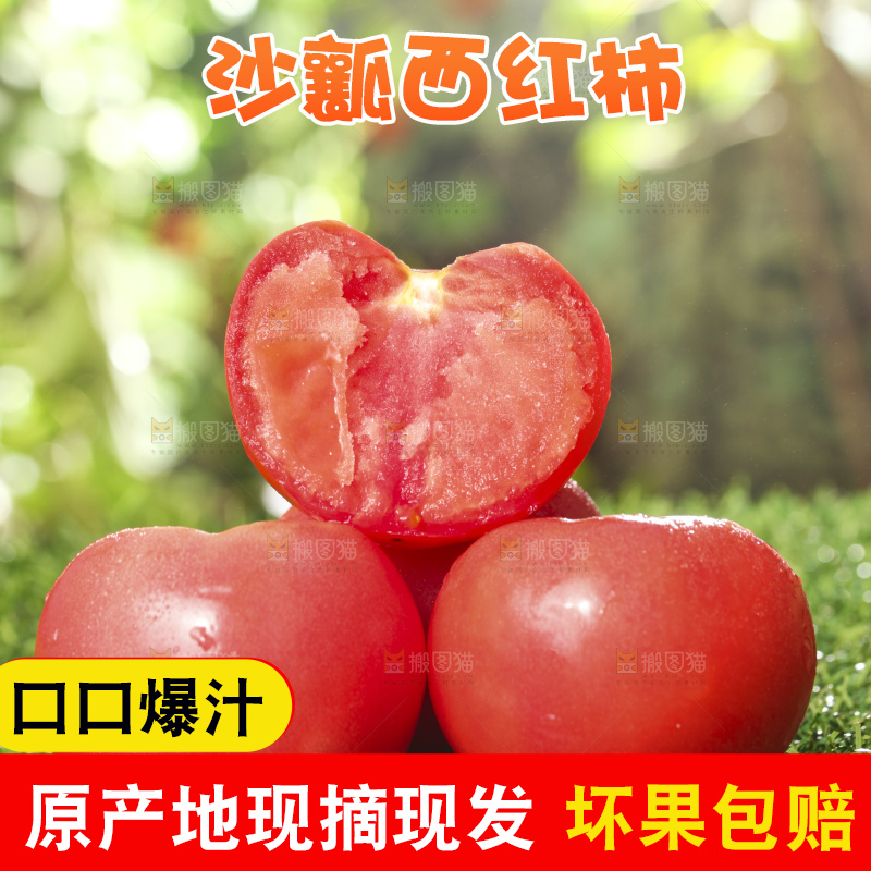 西红柿