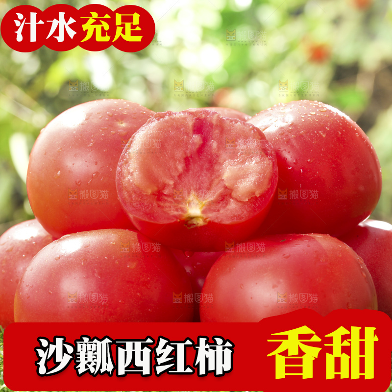 西红柿