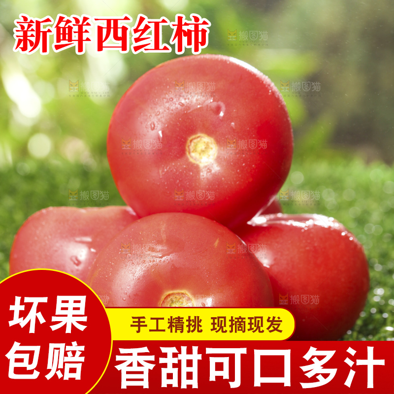西红柿