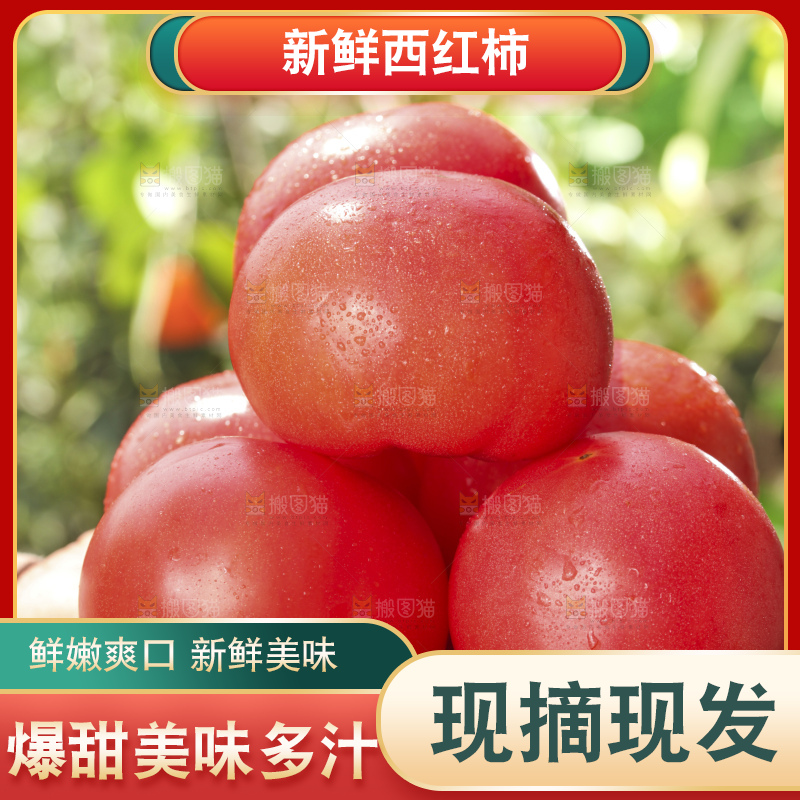 西红柿