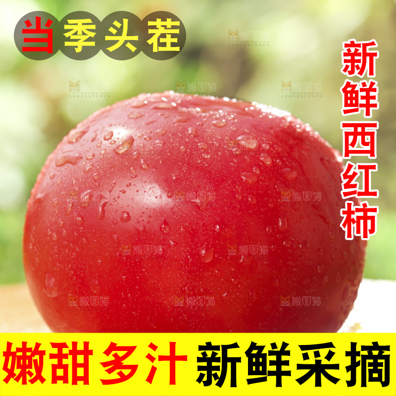 西红柿