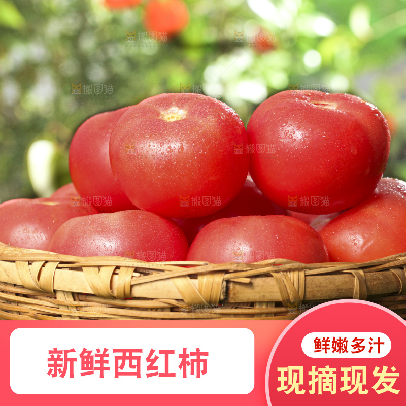 西红柿