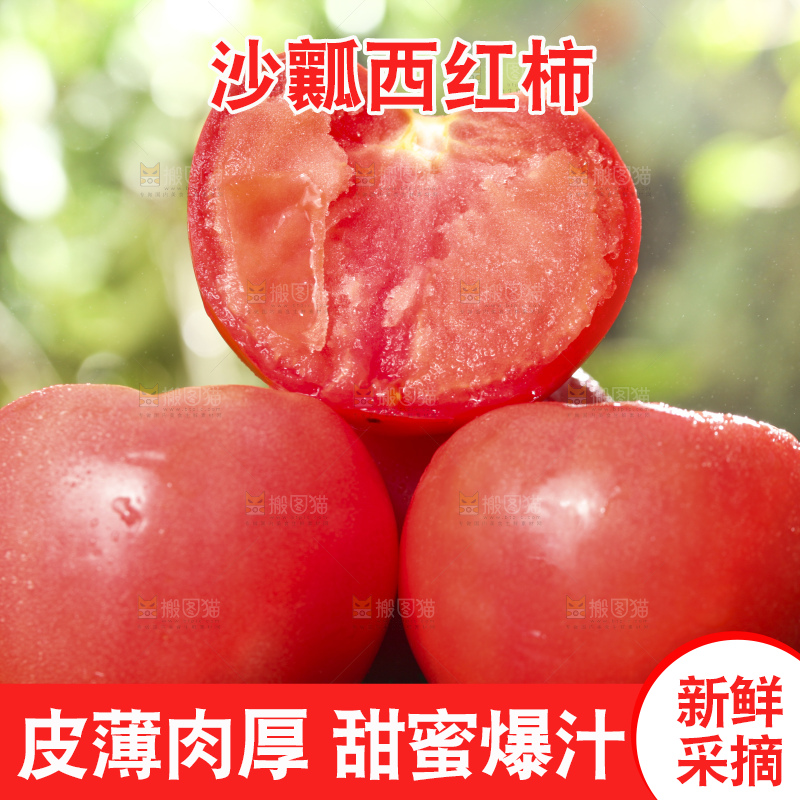西红柿