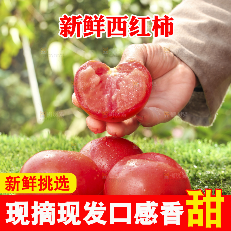西红柿
