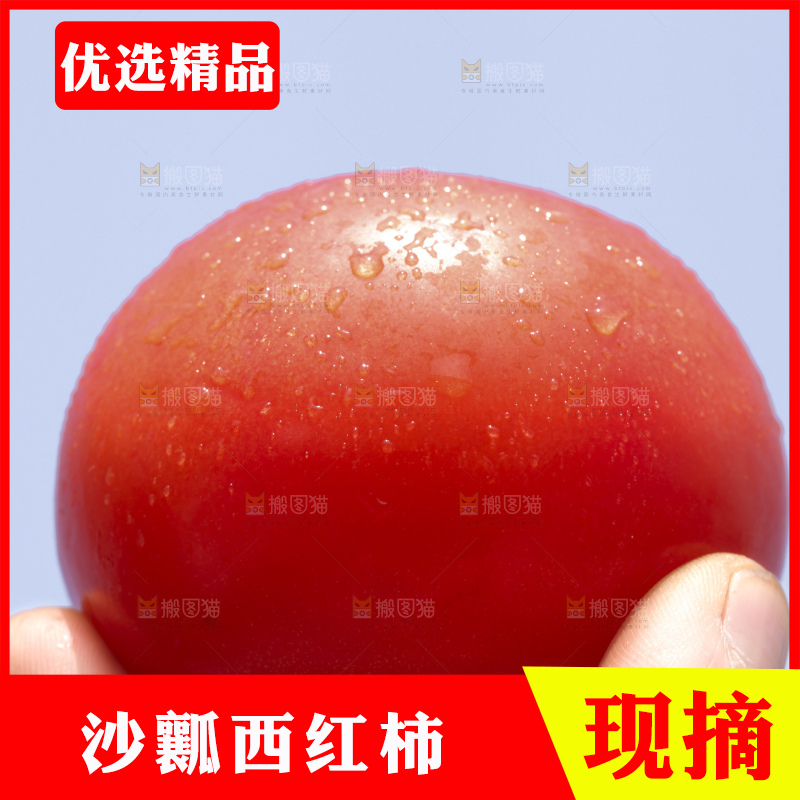 西红柿