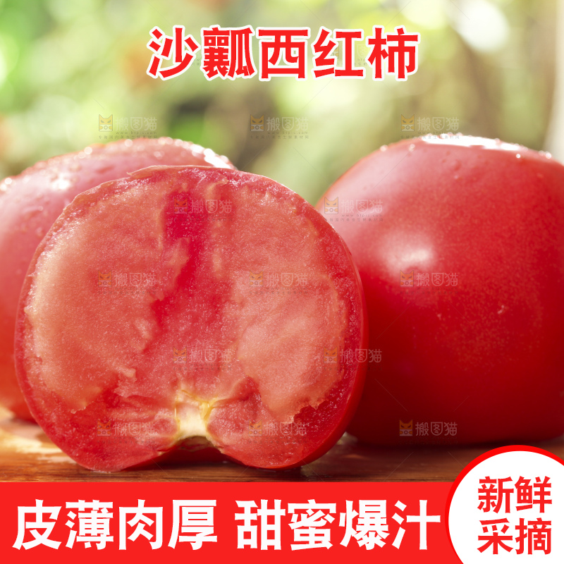 西红柿