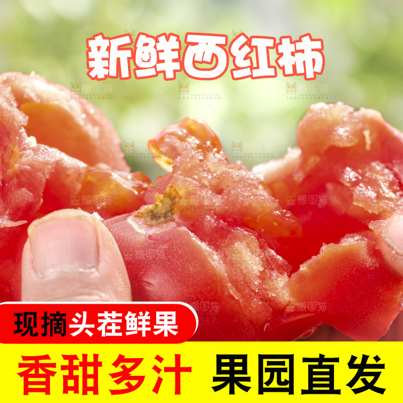 西红柿