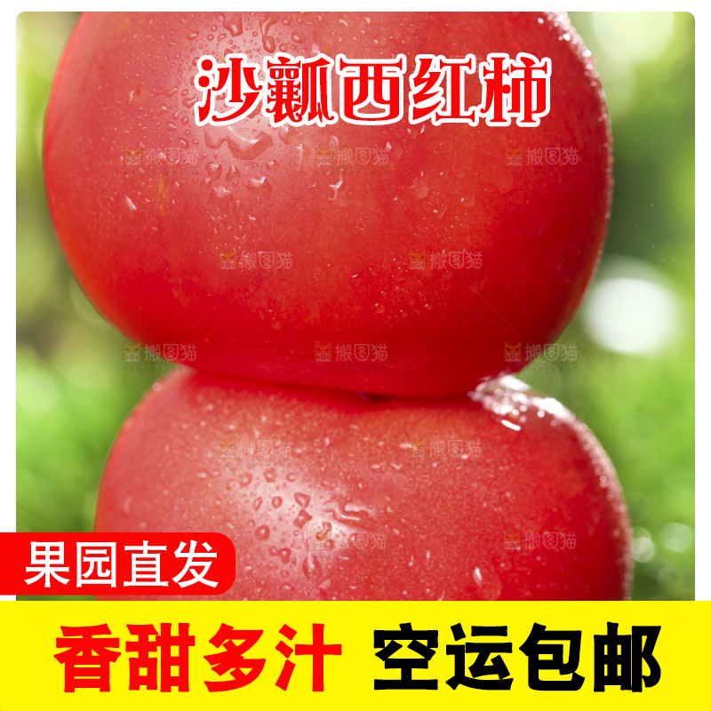 西红柿