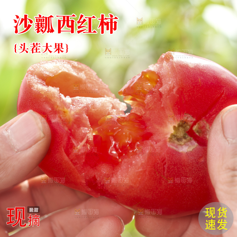 西红柿