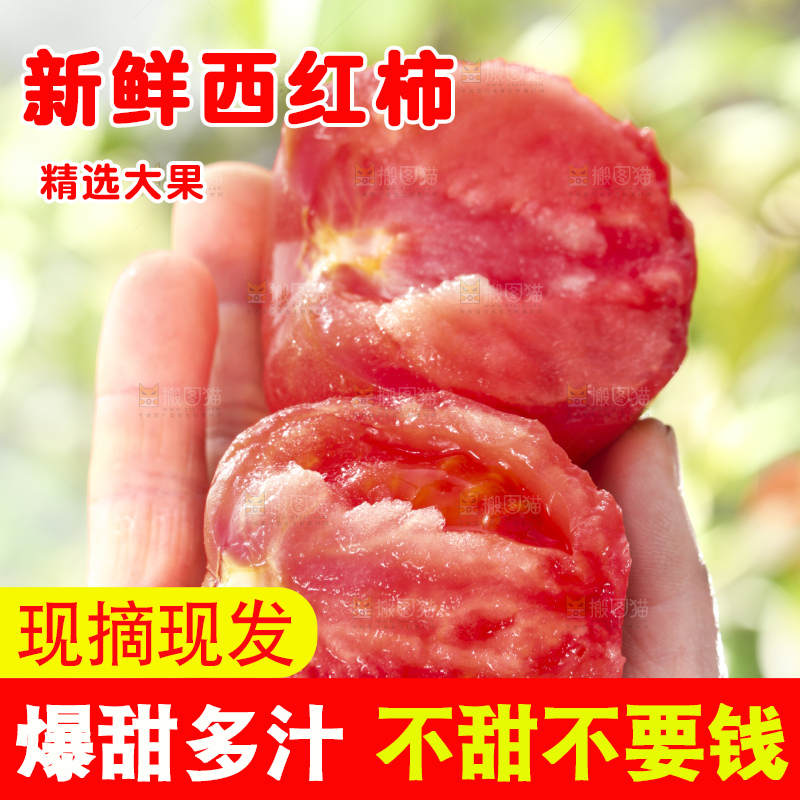 西红柿