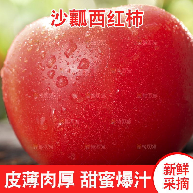西红柿