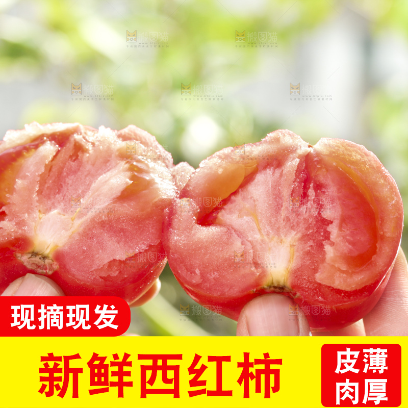 西红柿