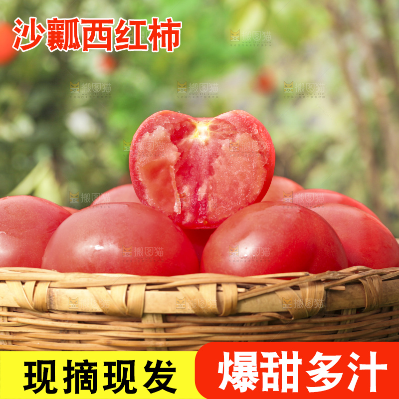 西红柿