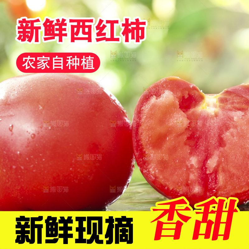 西红柿