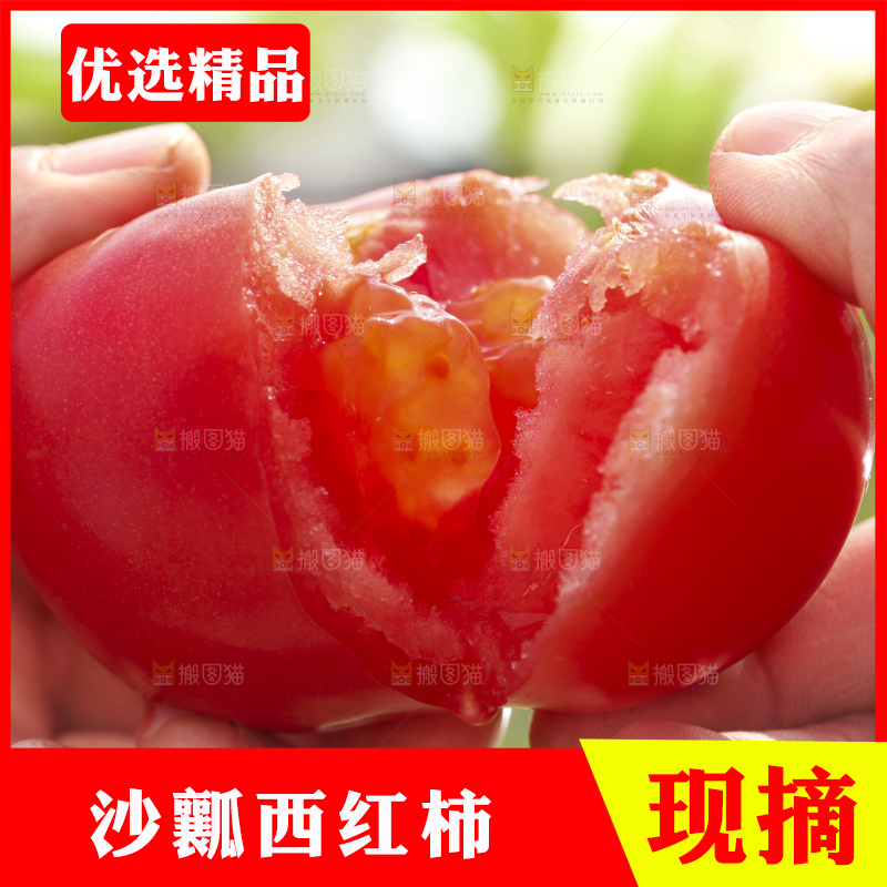 西红柿