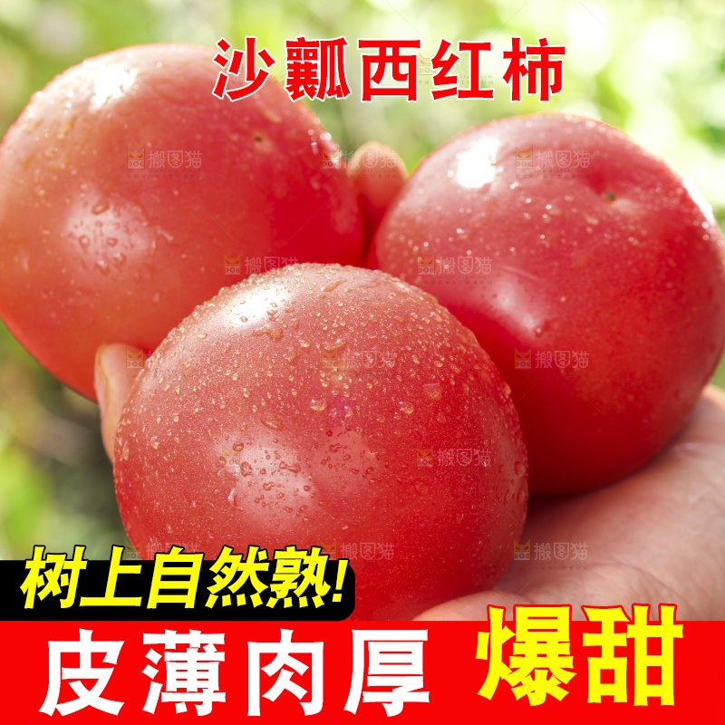 西红柿