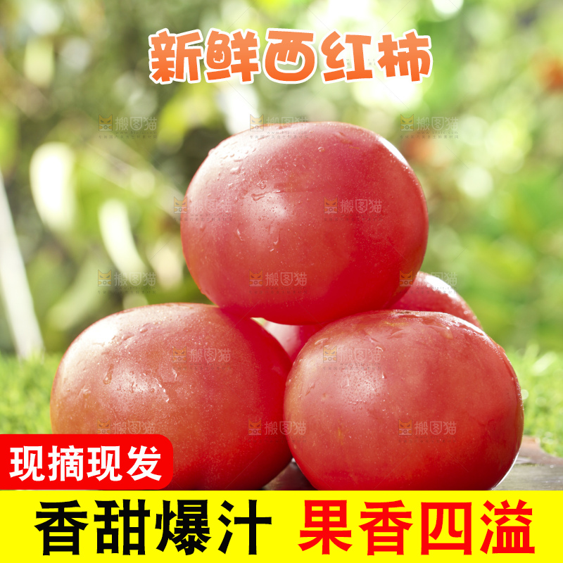 西红柿