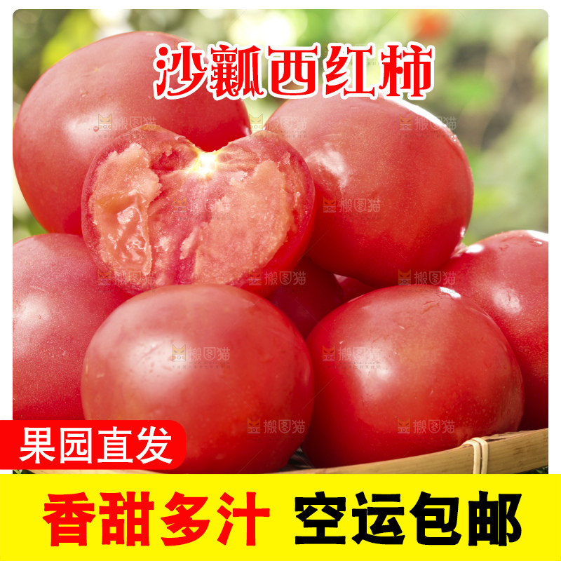 西红柿