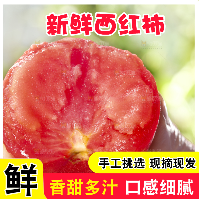 西红柿