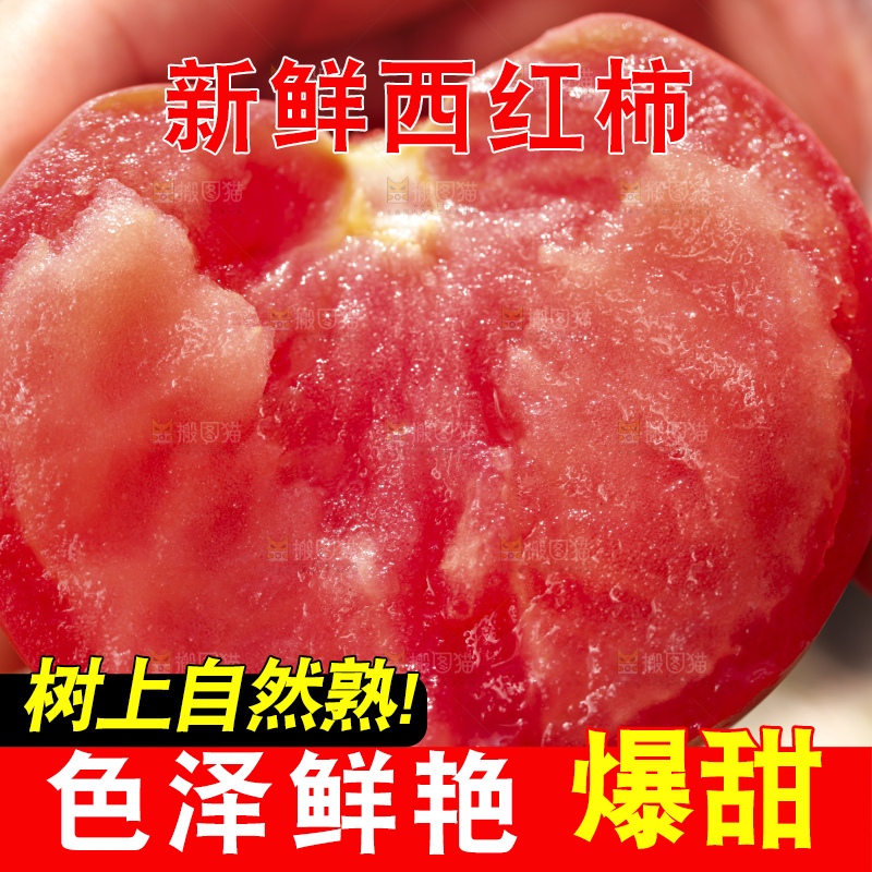 西红柿