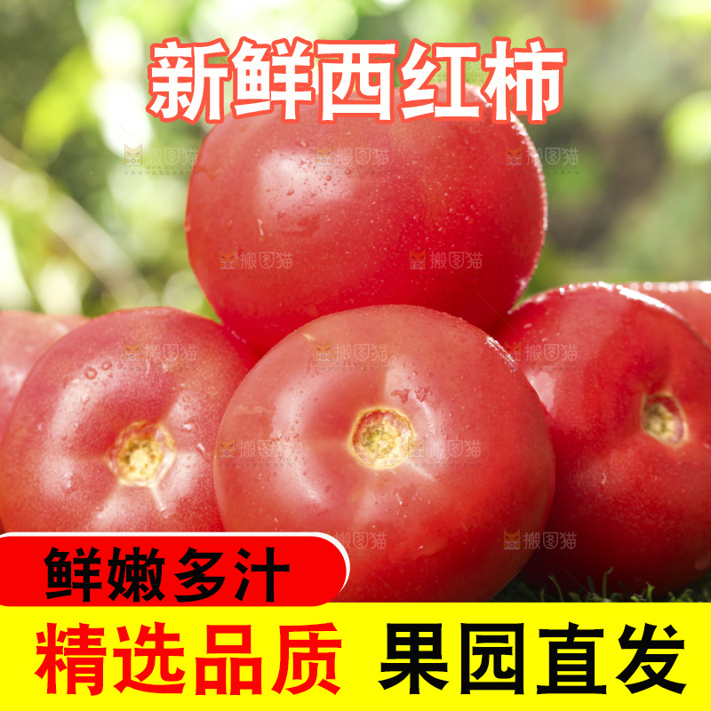 西红柿