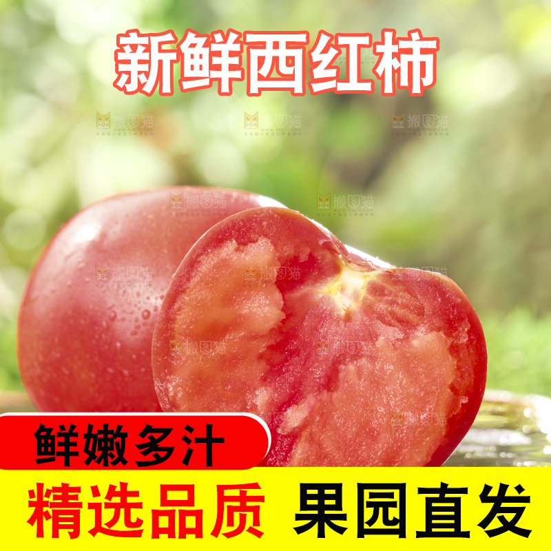 西红柿