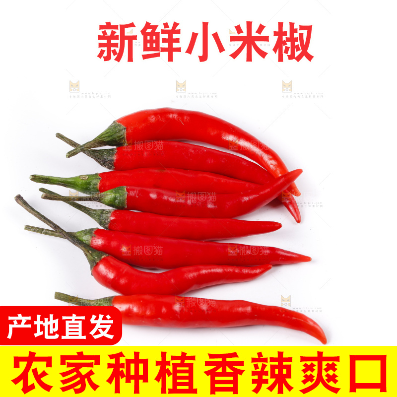 小米椒