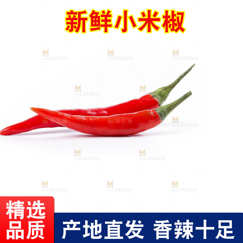 小米椒