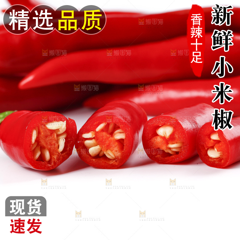 小米椒