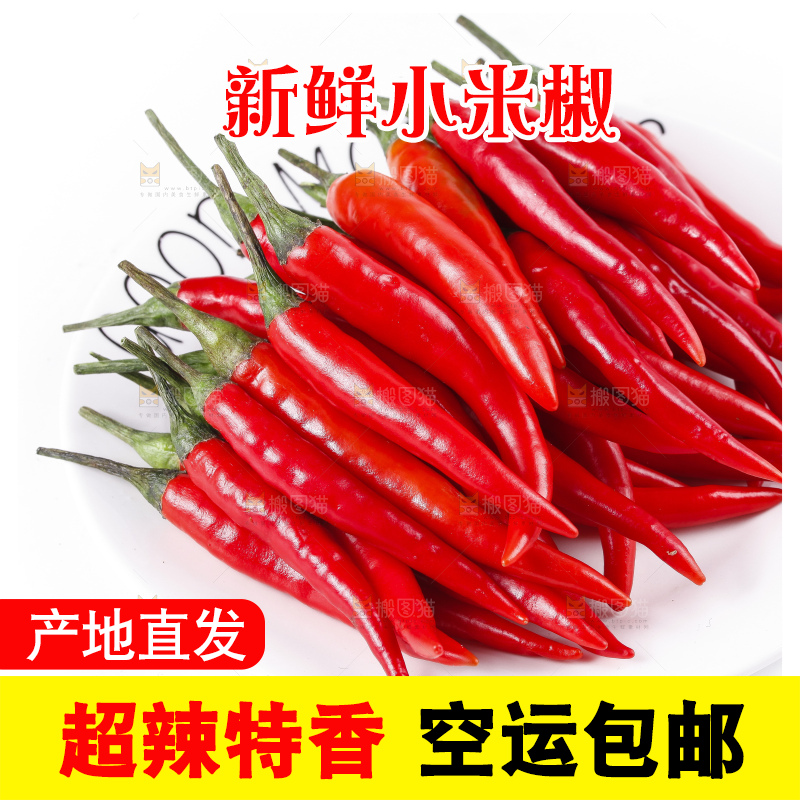 小米椒