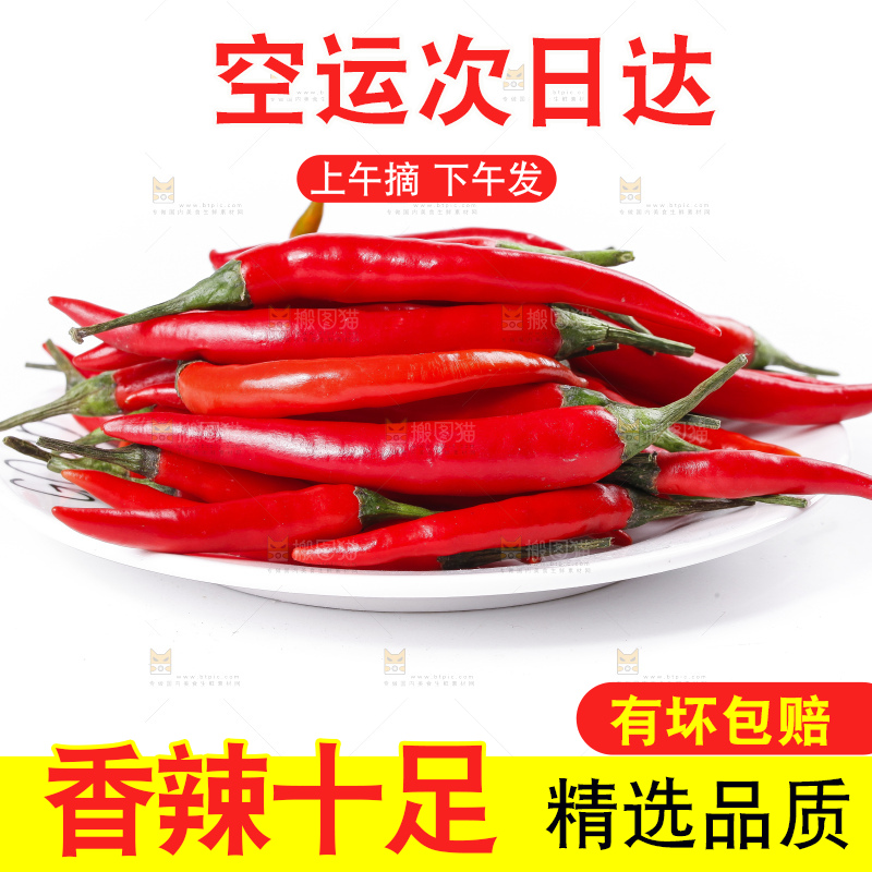 小米椒