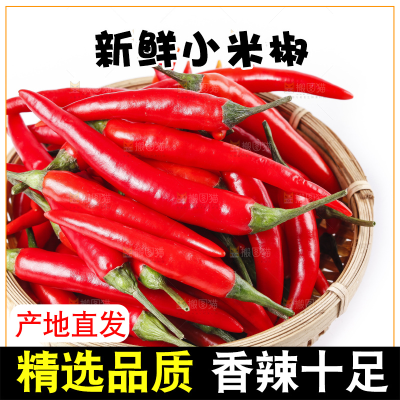 小米椒