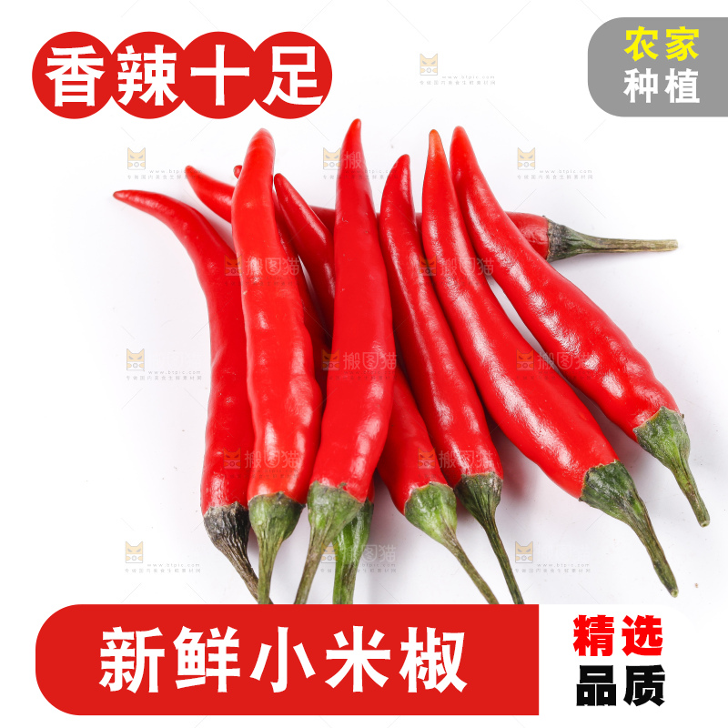 小米椒