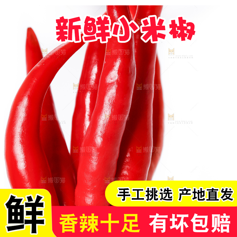 小米椒