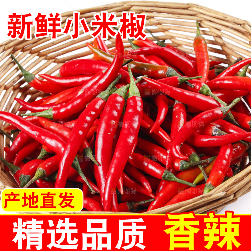 小米椒