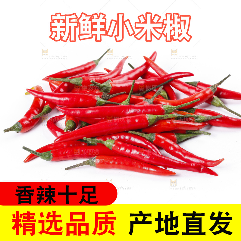 小米椒
